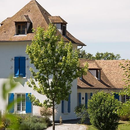 La Maison Du Lac Thionne エクステリア 写真