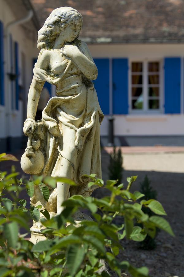 La Maison Du Lac Thionne エクステリア 写真